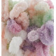 Alize Puffy Color №6526 (100г.) 
