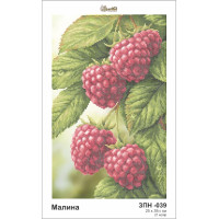 ЗПН-039 Малина