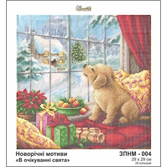 ЗПНМ-004 В очікуванні свята