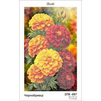 ЗПК-067 Чорнобривці