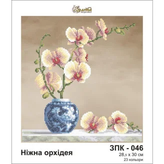 ЗПК-046 Ніжна орхідея