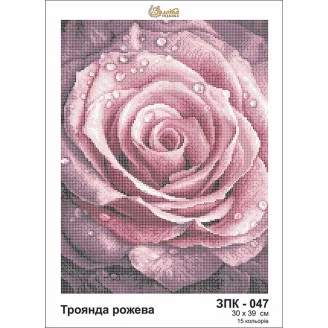 ЗПК-047 Троянда рожева