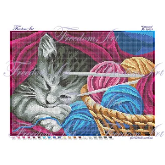 30031 Котик